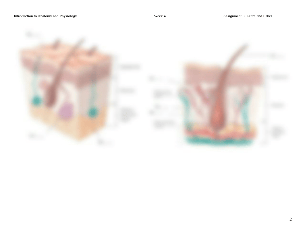 Week 4 Assignment 3  (1).doc_dmw6ykevz1x_page2