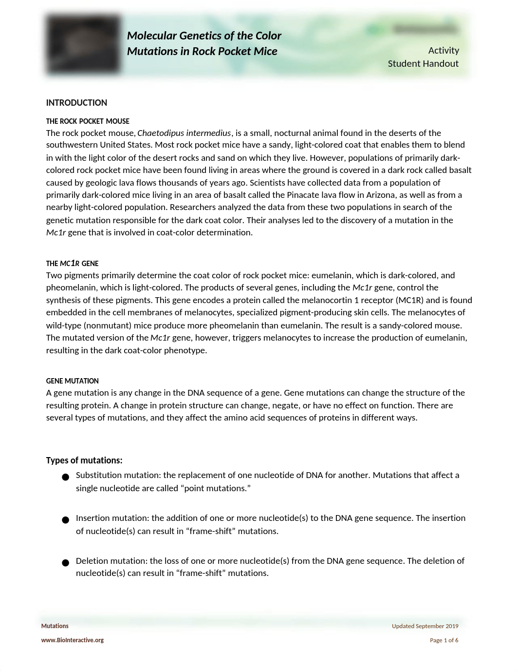 Molecular Genetics of the Color Mutations in Rock Pocket Mice Worksheet (1).docx_dmw7ux8yynd_page1