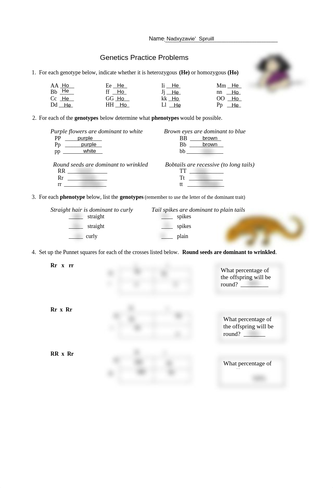 Genetics_Practice_Problems_-_Simple.pdf_dmw9kcdf4lz_page1