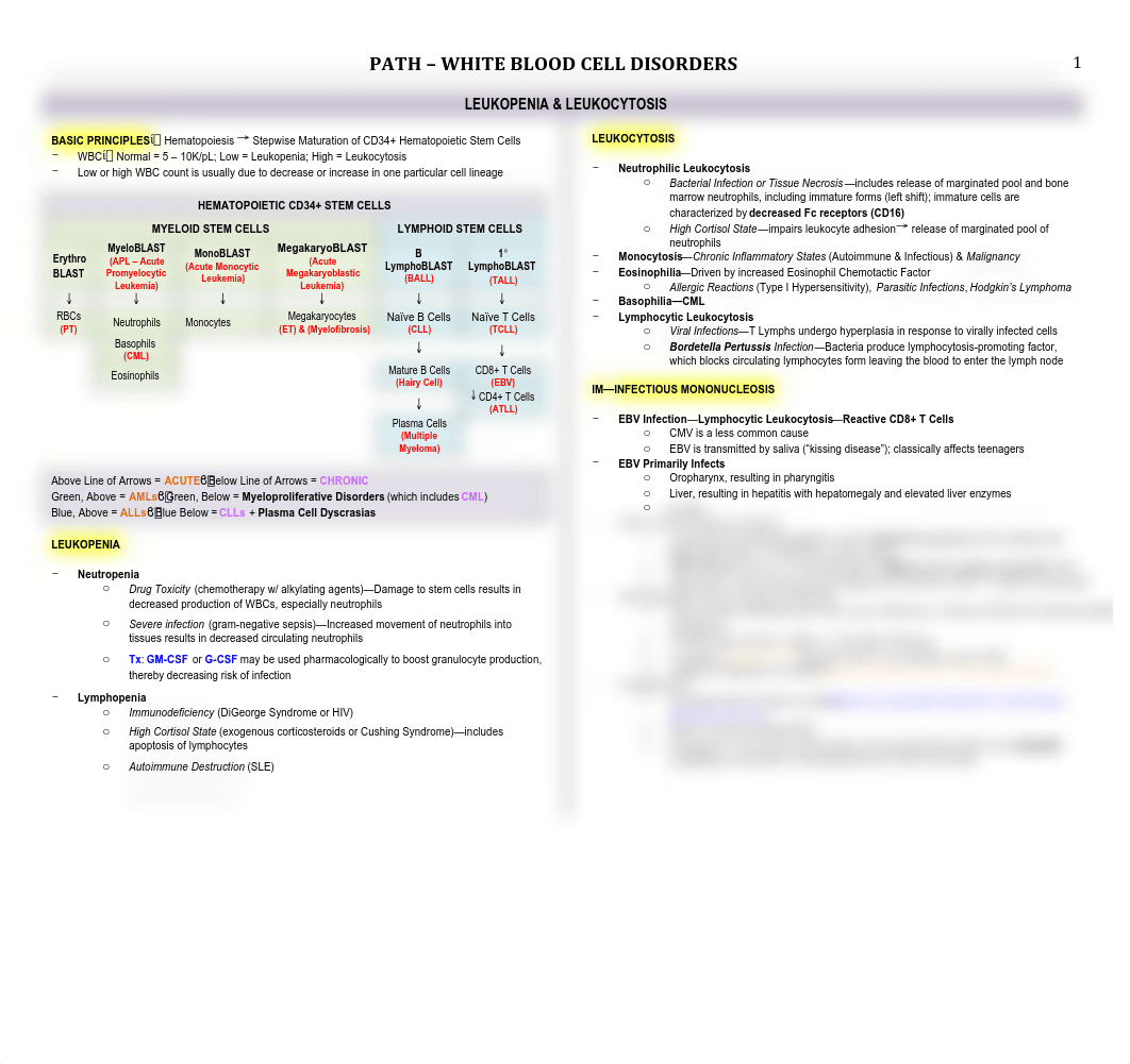 Path - 13 - WBC Disorders - BL_dmwbseb7wji_page1