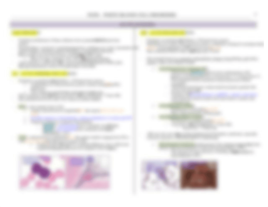 Path - 13 - WBC Disorders - BL_dmwbseb7wji_page2