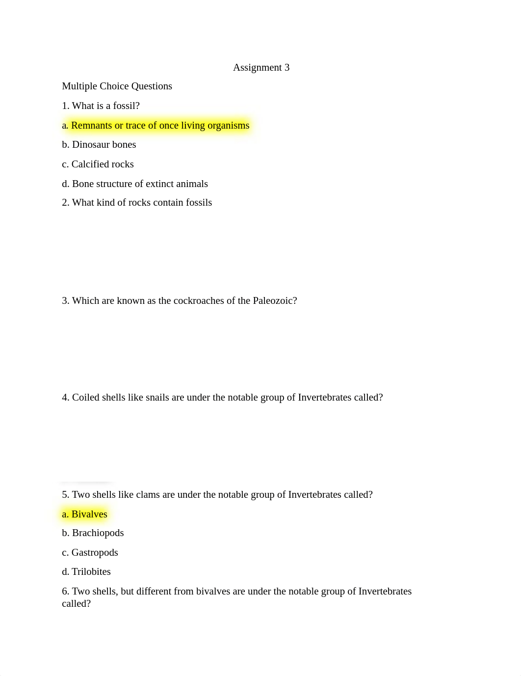 Geo Assign. 3.docx_dmwglogeou2_page1