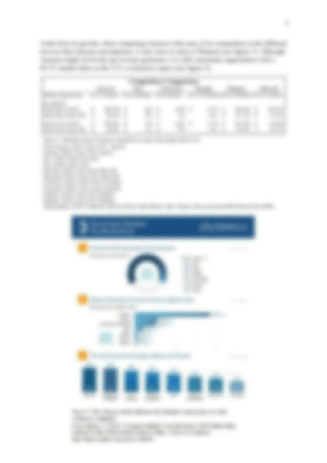 Perrotti, Felipe - Amazon Situational Analysis.pdf_dmwgy8ek60v_page4