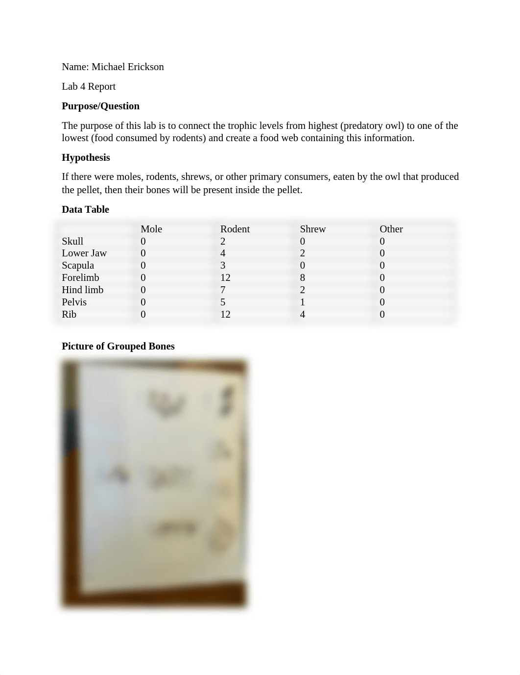 Lab Report 4.docx_dmwh7flhv4c_page1