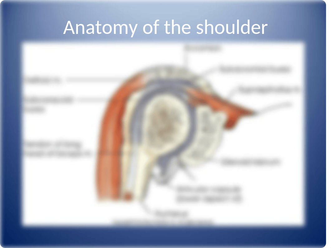 ARTHROGRAPHY, Myelography, Vertebroplasty and Kyphoplasty.ppt_dmwje74bqkz_page4