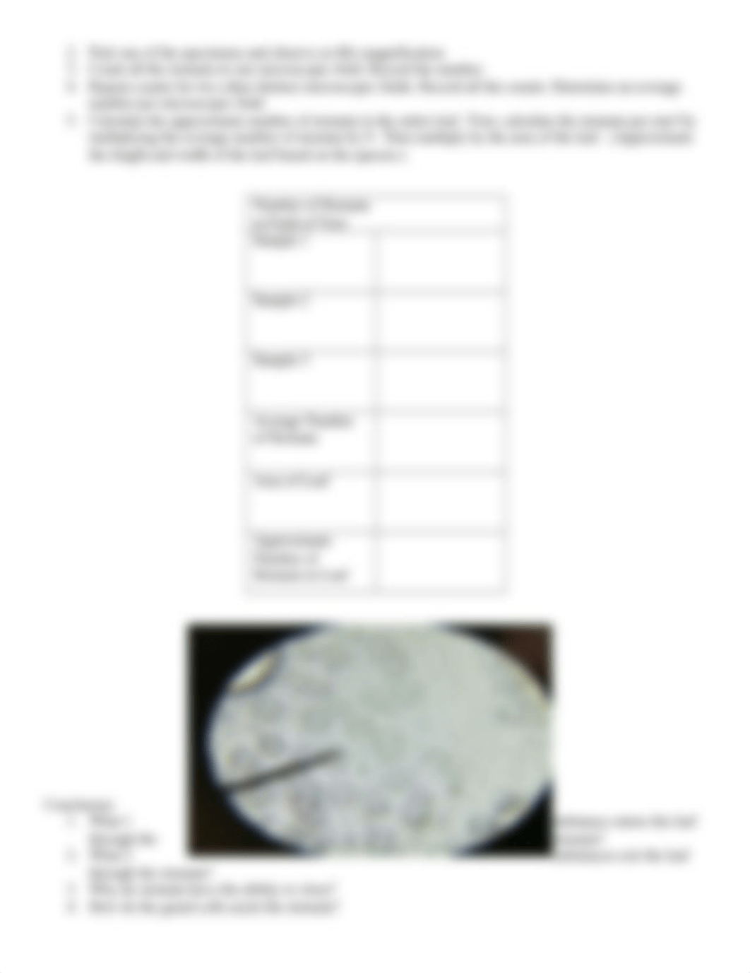 Observing_Stomata_and_Guard_Cells_-_Virtual_dmwnwiwvvqt_page2