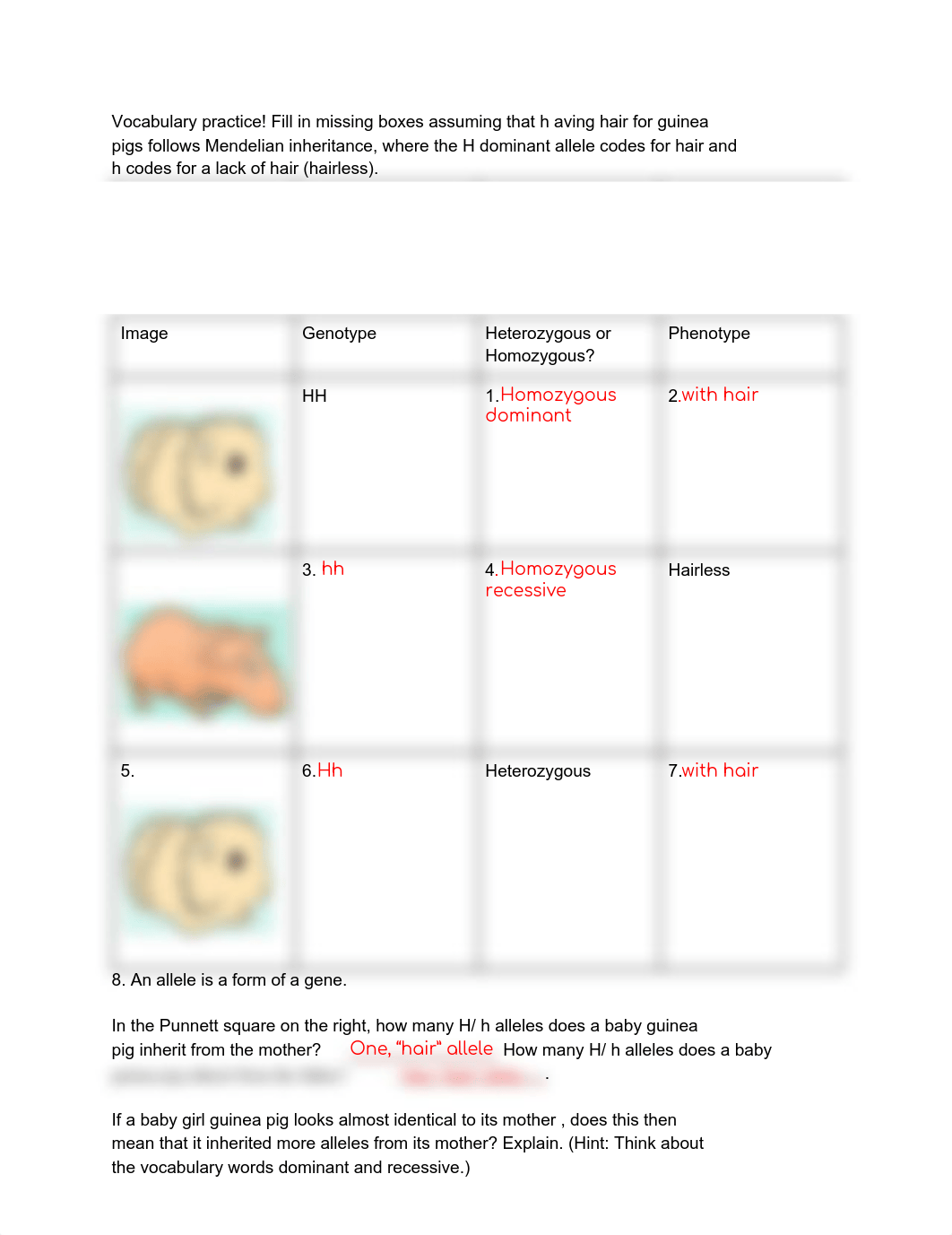 Amoeba Sisters Video Recap_Monohybrid Crosses (Mendelian Inheritance).pdf_dmwoe5vmlvw_page1