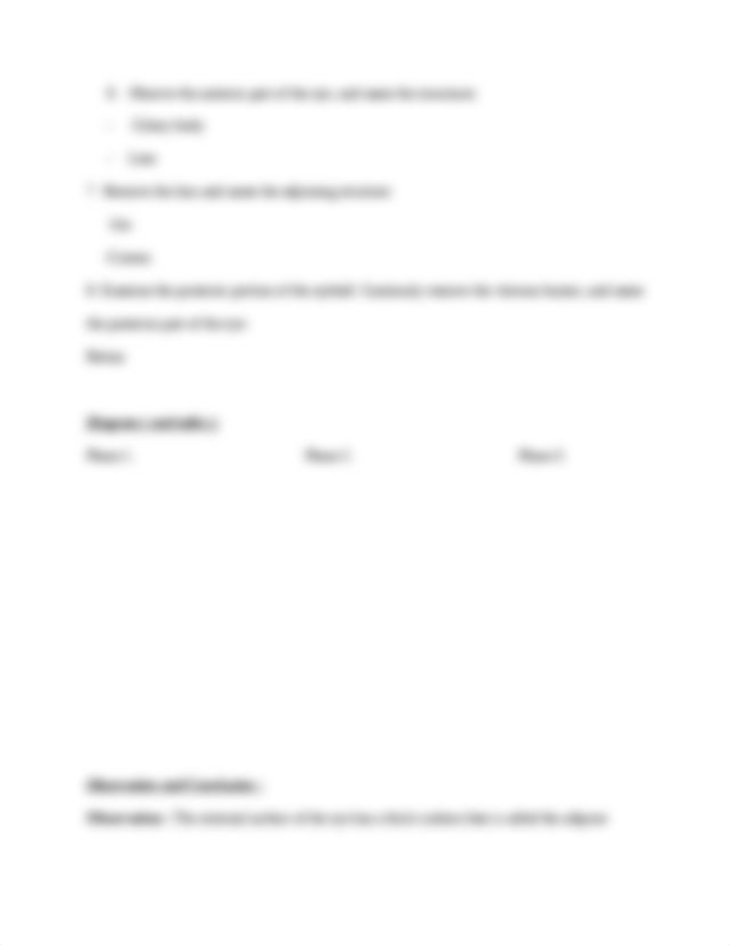 A and P Lab report 1 -4.docx_dmwp1bbdhy9_page2