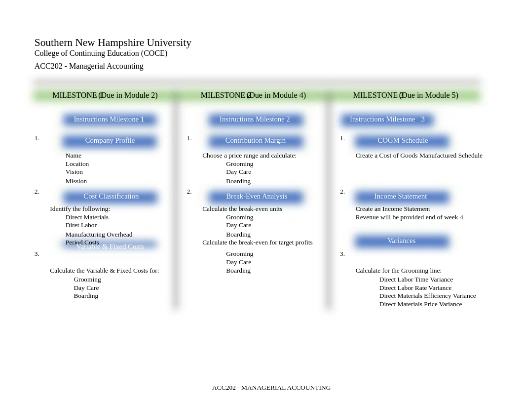 ACC 202 Final Project Workbook.xlsx_dmwsxn6p1pn_page1