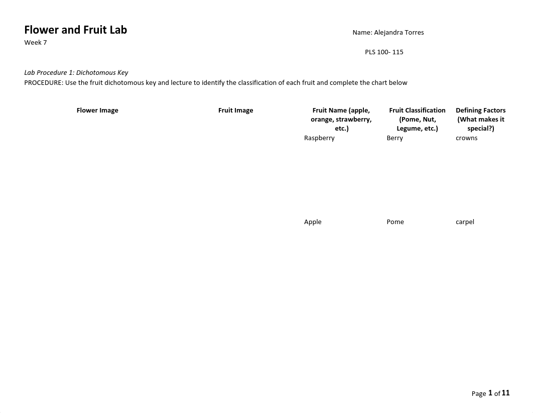 Plants and flowers lab .pdf_dmwtwjgs1jp_page1