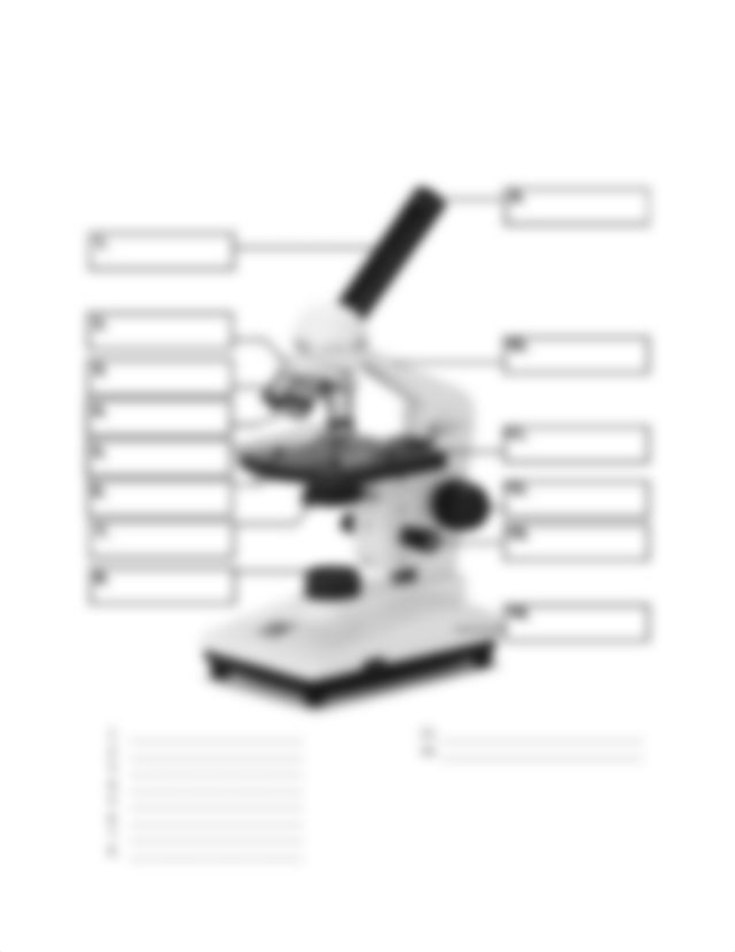 Microscope Lab Worksheet 137 35Z1(1) (2)_dmwysr7u3zx_page2