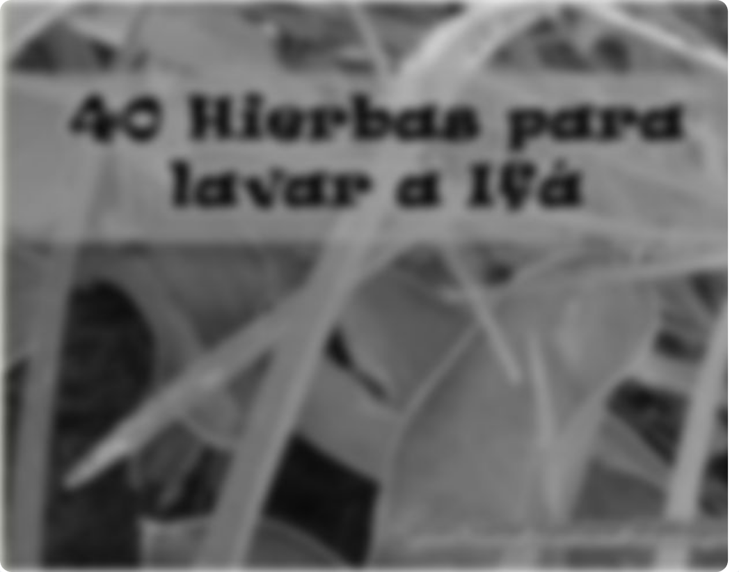 "40 Hierbas para lavar a Ifá".pdf_dmxt7hbp7dq_page2