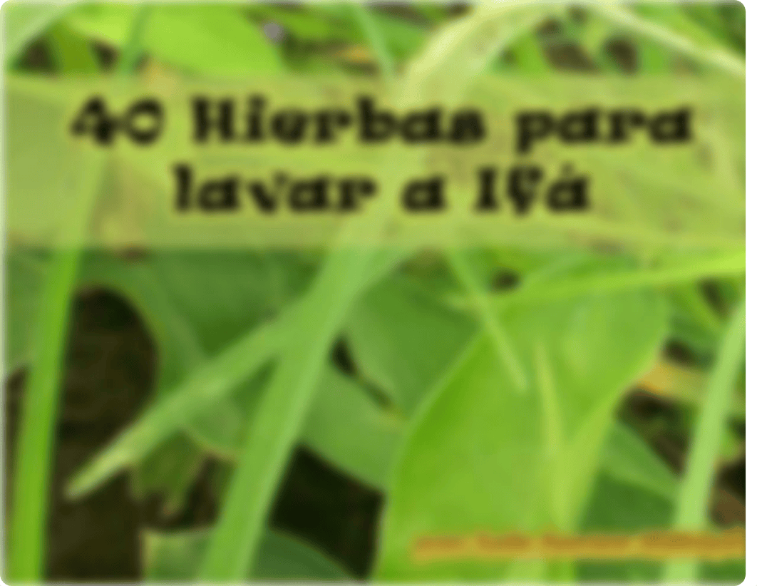 "40 Hierbas para lavar a Ifá".pdf_dmxt7hbp7dq_page1