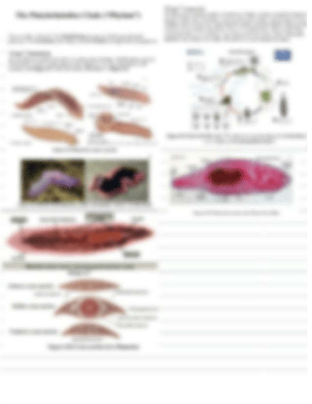 Lab 7 &8 2.pdf_dmxvdnm12ek_page5