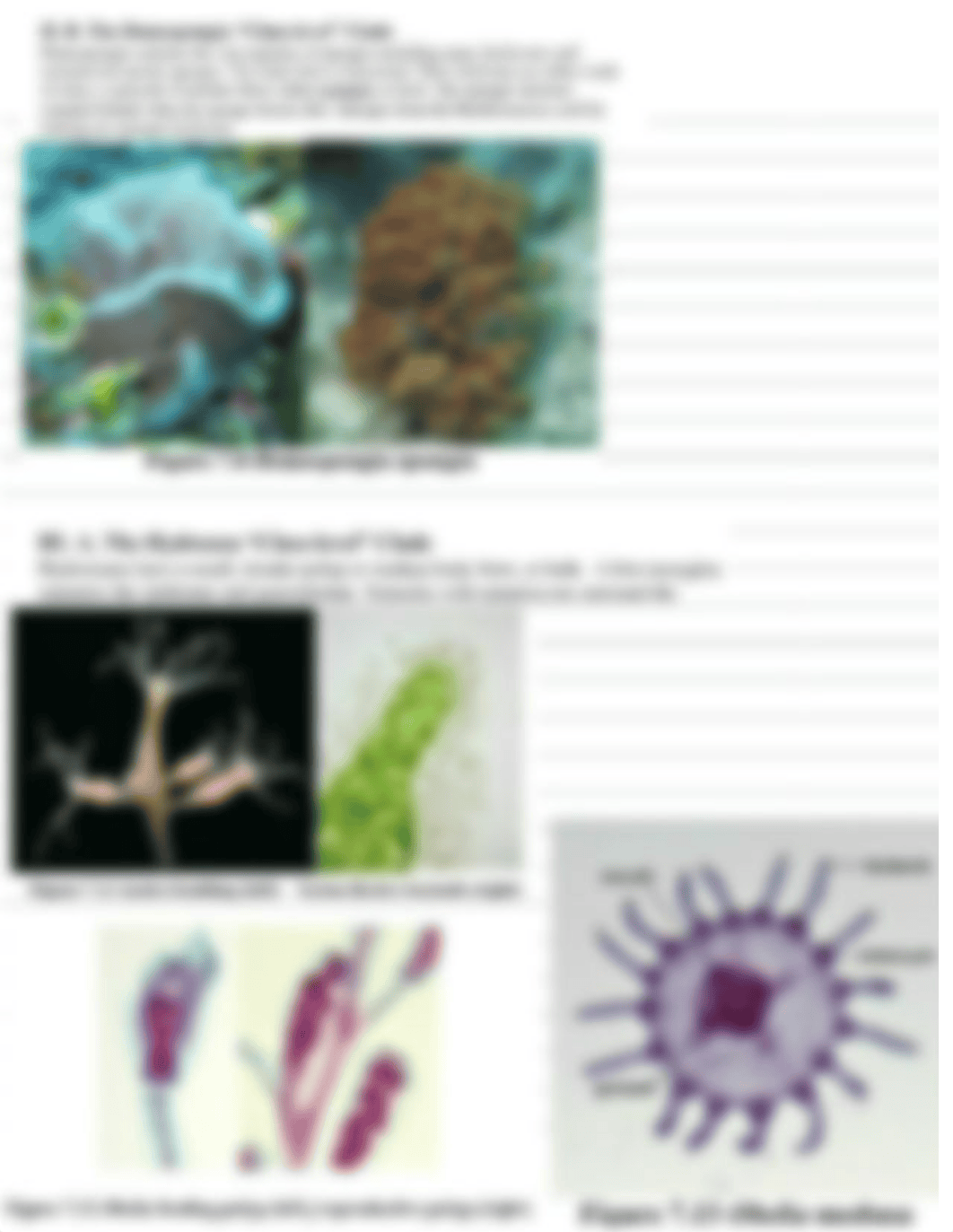 Lab 7 &8 2.pdf_dmxvdnm12ek_page3