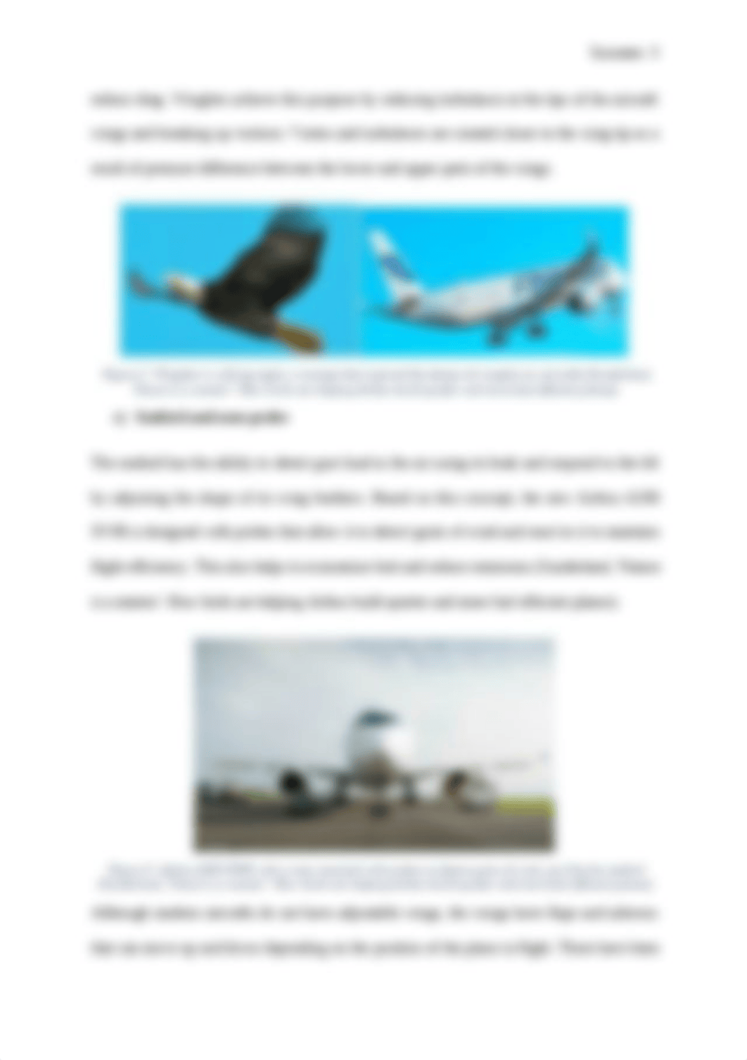 biomimicry-in-aircraft.docx_dmxwq6i6rov_page3