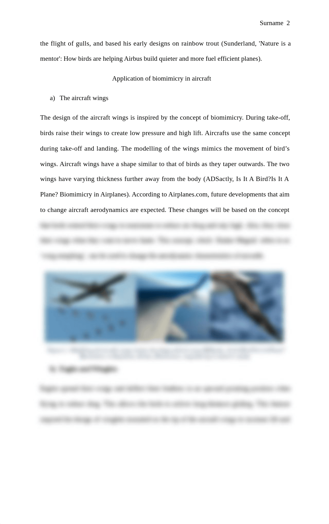 biomimicry-in-aircraft.docx_dmxwq6i6rov_page2