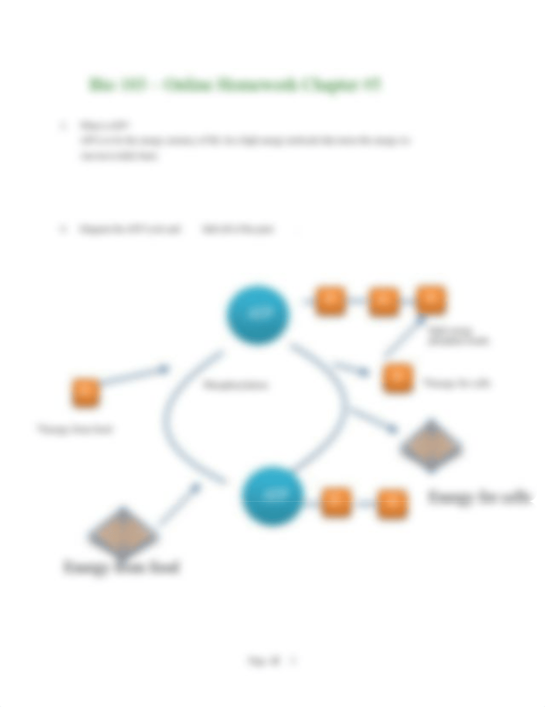 Bio 103 Online Homework 5.pdf_dmxzt8lyn6a_page2