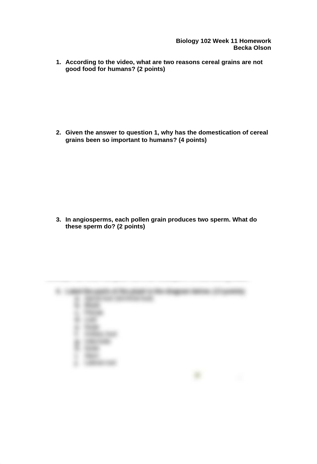 HW WK 11_dmy00ukjvw7_page1