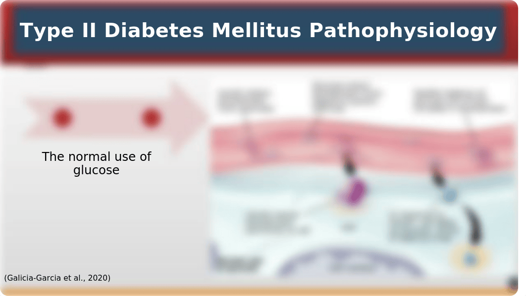 TYPE II DIABETES WEEK 6 Presentation.pptx_dmy2nwl4v9o_page2