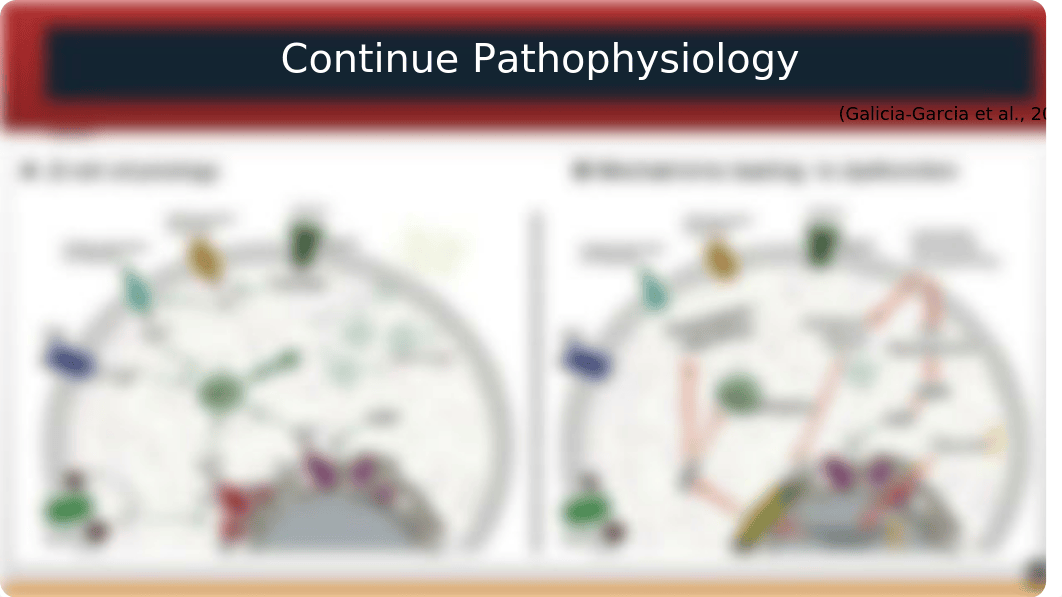 TYPE II DIABETES WEEK 6 Presentation.pptx_dmy2nwl4v9o_page3