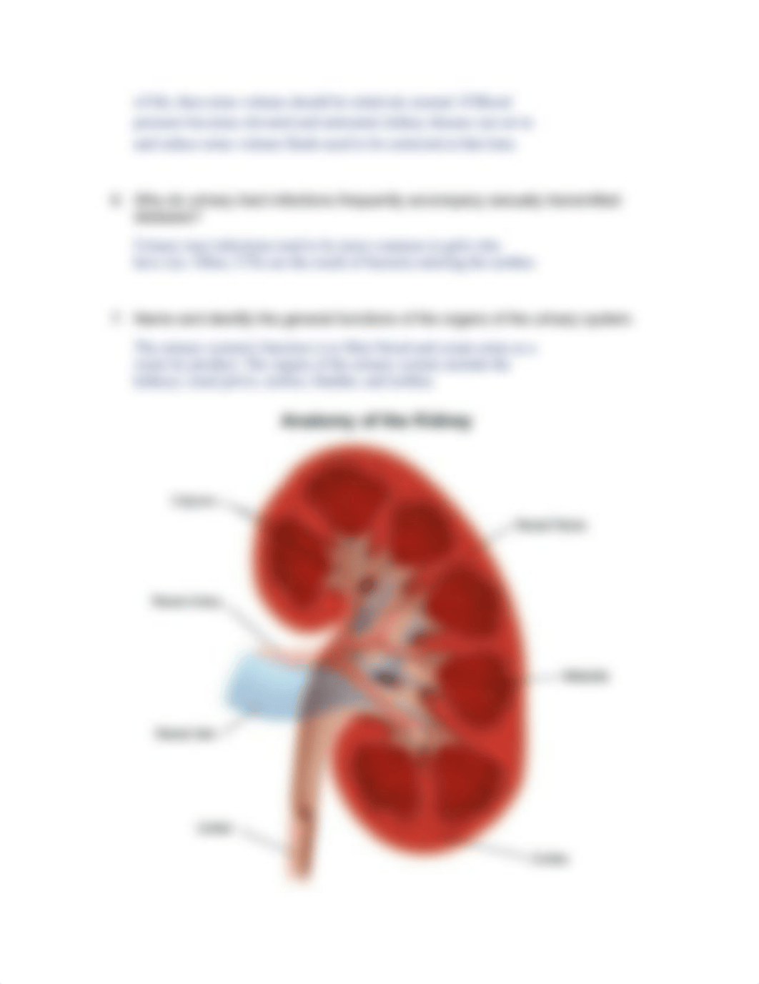 Chapter 17 Assignment.pdf_dmyb7efu6l0_page2