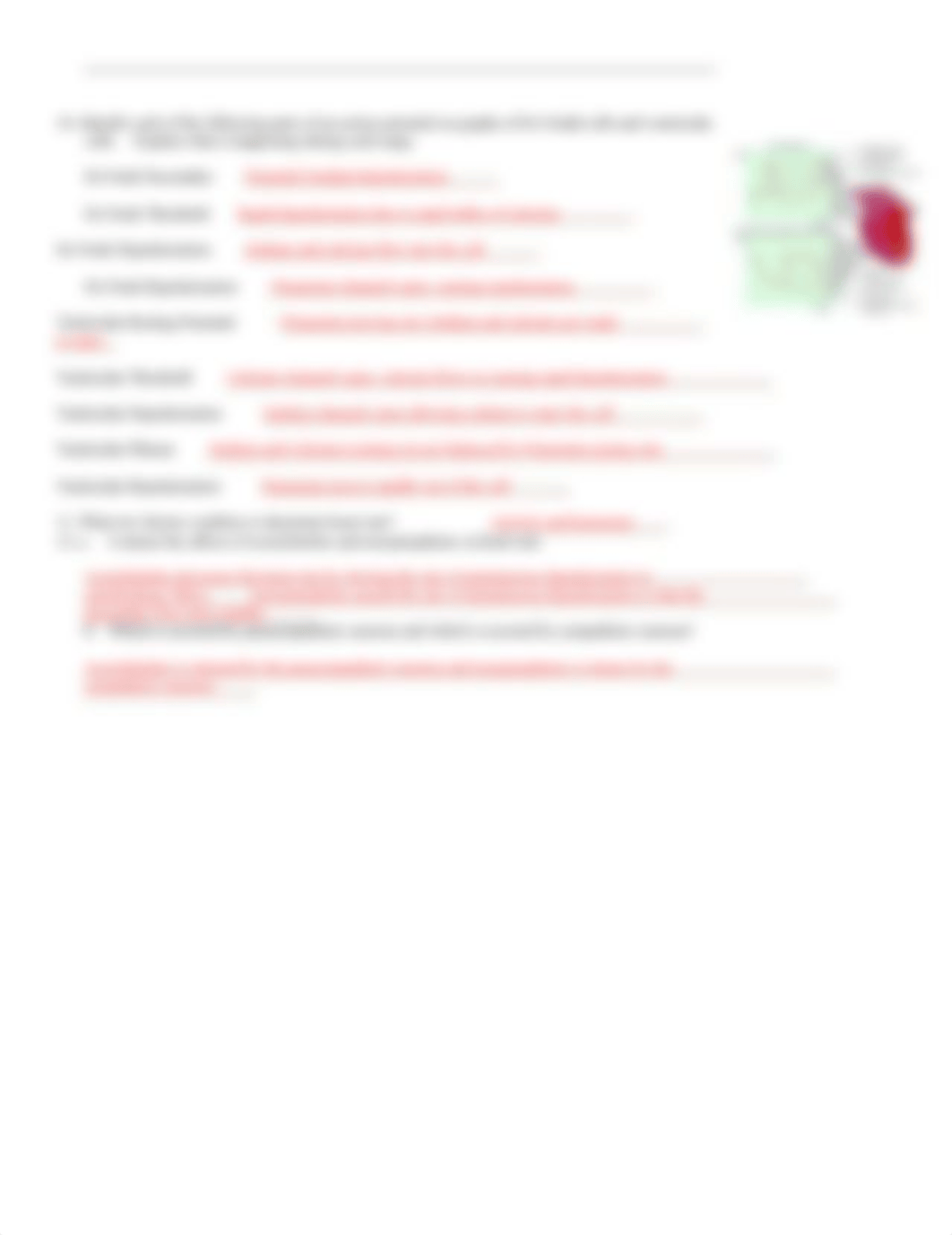 20 Cardiac Conduction AEd_dmyegbxx8ab_page2