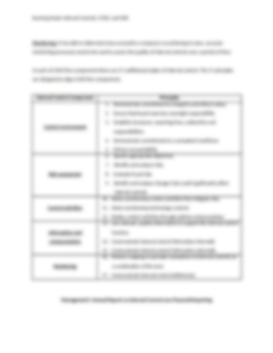 Internal Controls COSO and SOX.docx_dmyezia95cw_page3