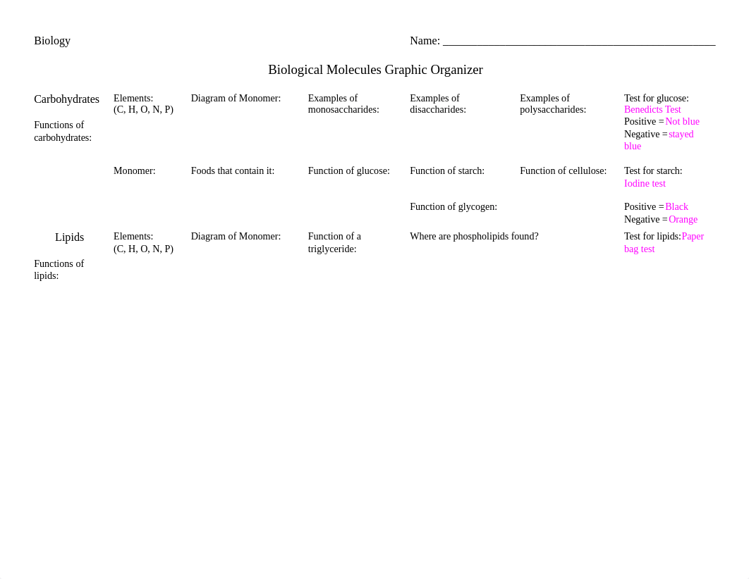 Biological Molecules Graphic Organizer.docx_dmyv916y82u_page1