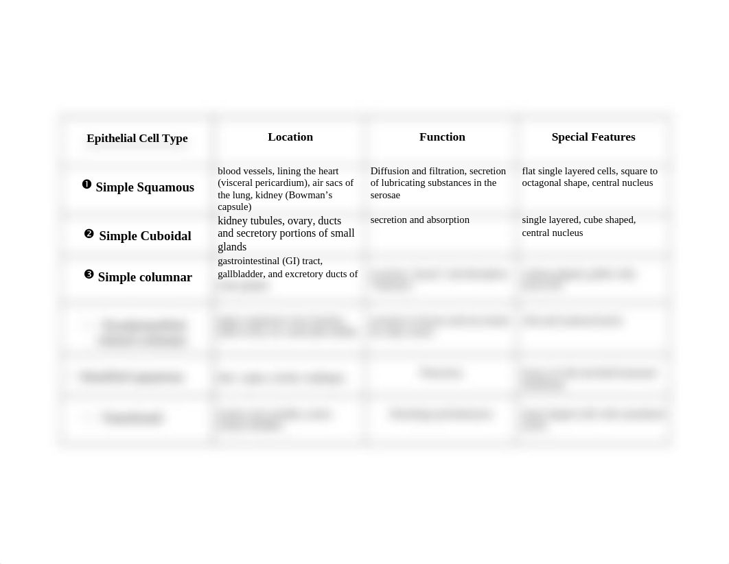 Epithelial tissue Chart.doc_dmz38ug27yr_page1