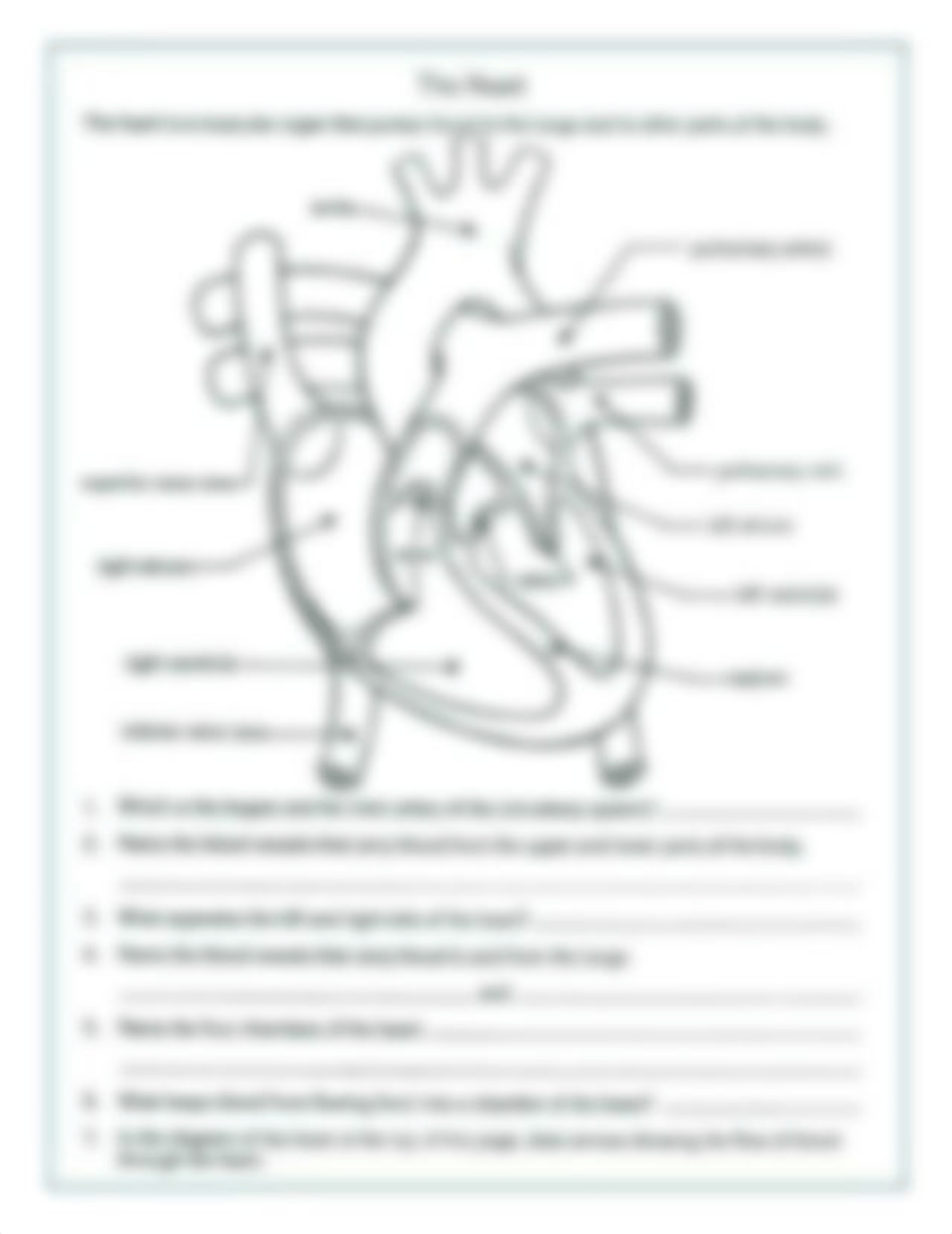 free-parts-of-the-heart-ts-from-anatomy-source-image-below-printable-and-physiology-worksheets-integ_dmz9pa4217o_page1