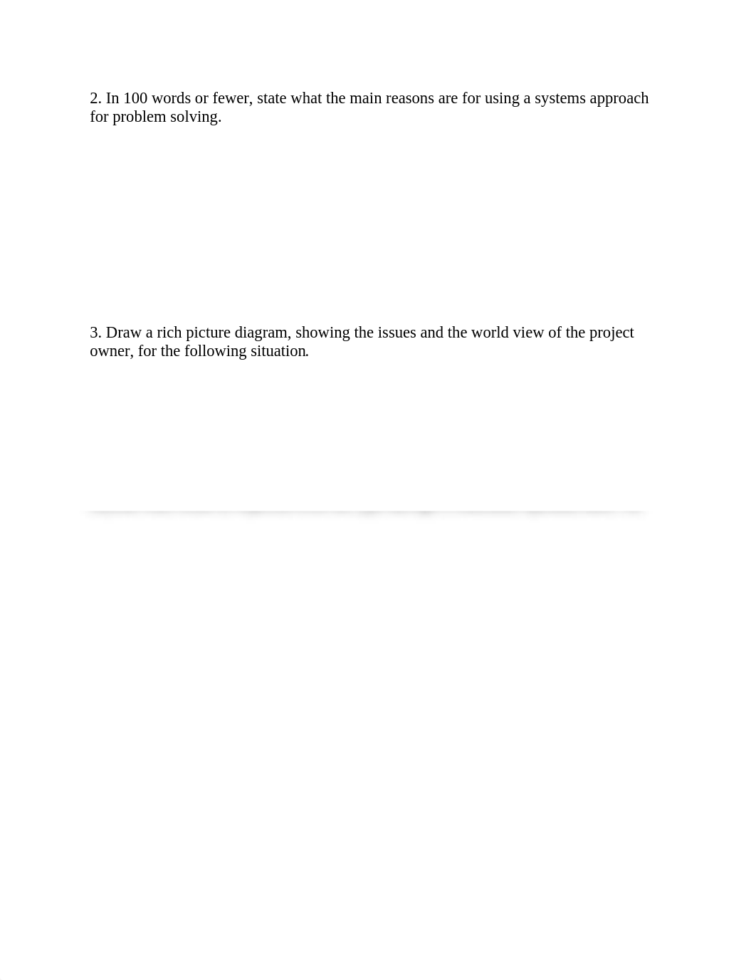 MGMT 380 Assignment 2.docx_dmzc5cvrcut_page2