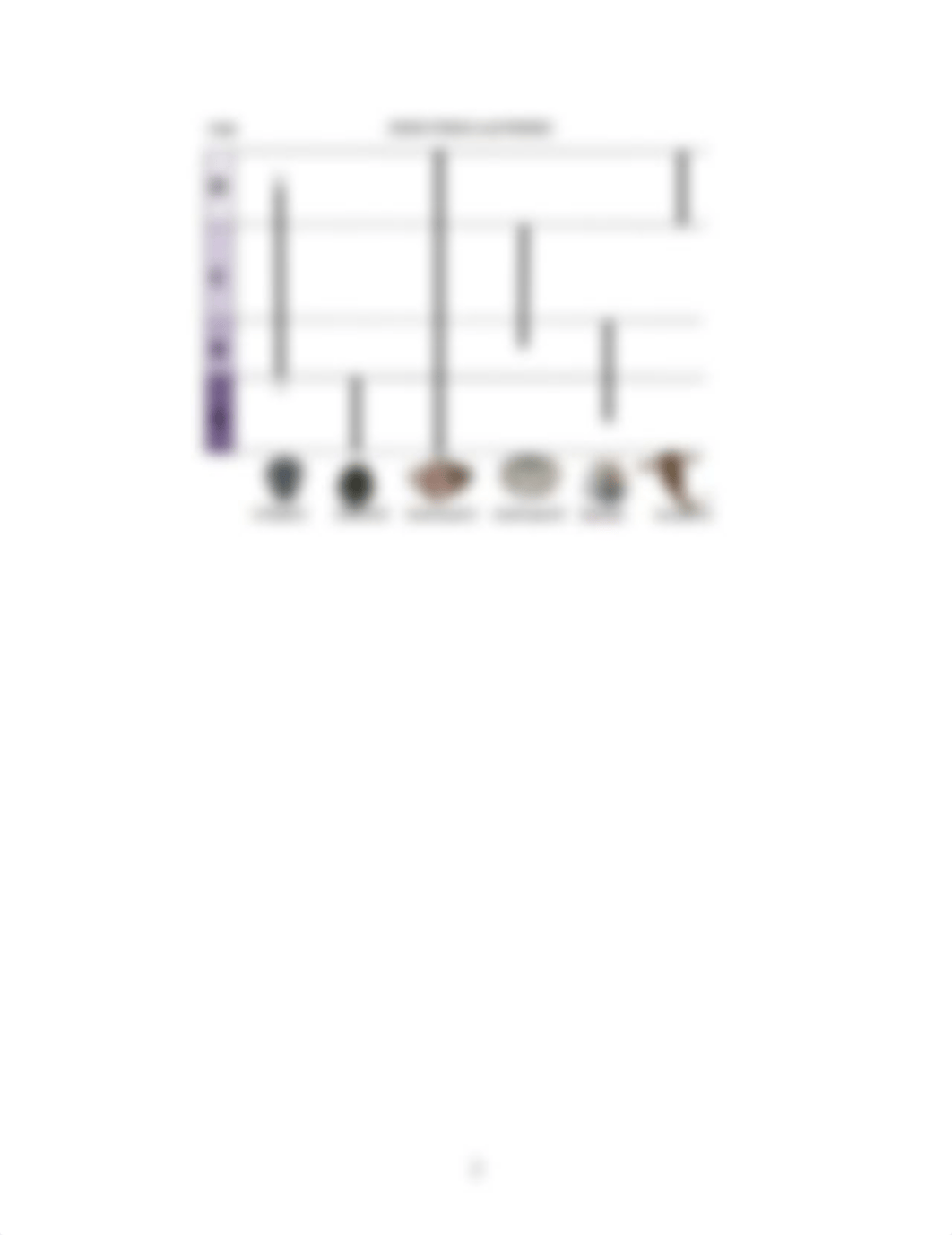 Lab 4 Biostratigraphy Exercises Summer 2021_Mia Perlman.pdf_dmzi2hzmkln_page2