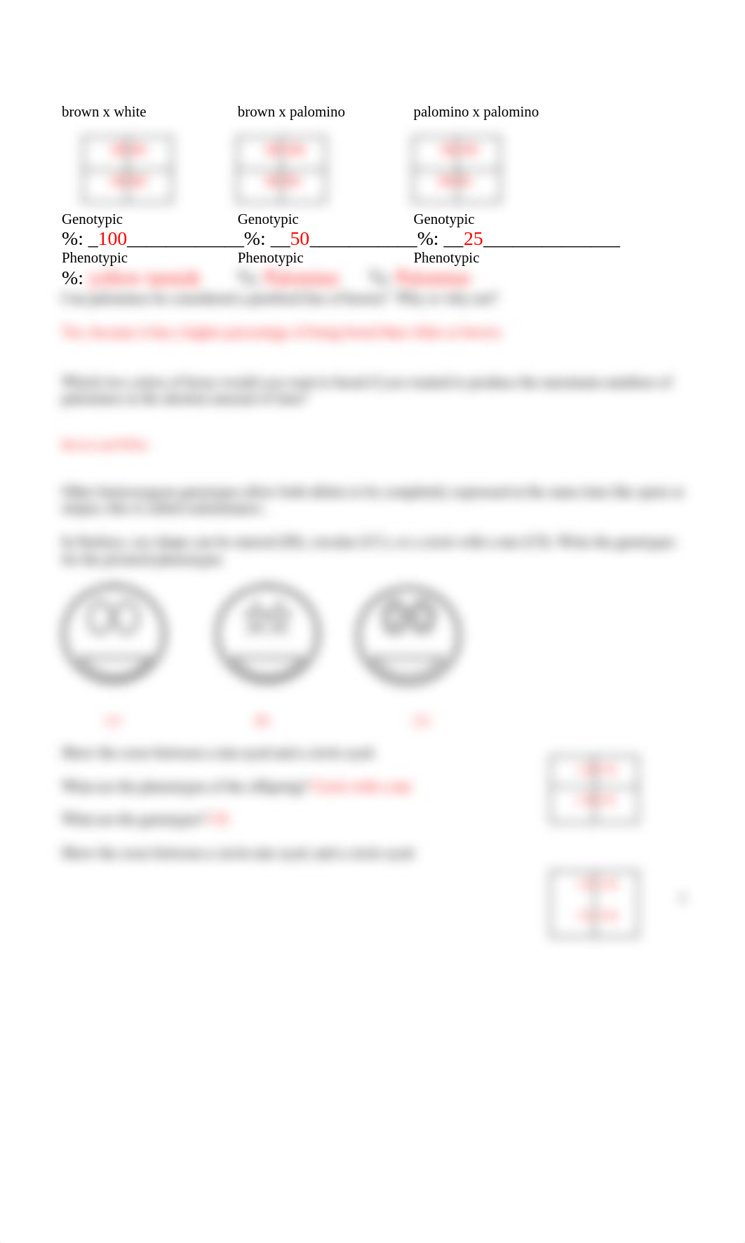 Done Lab_10_punnett_squares.docx_dmzmfv14zjk_page2