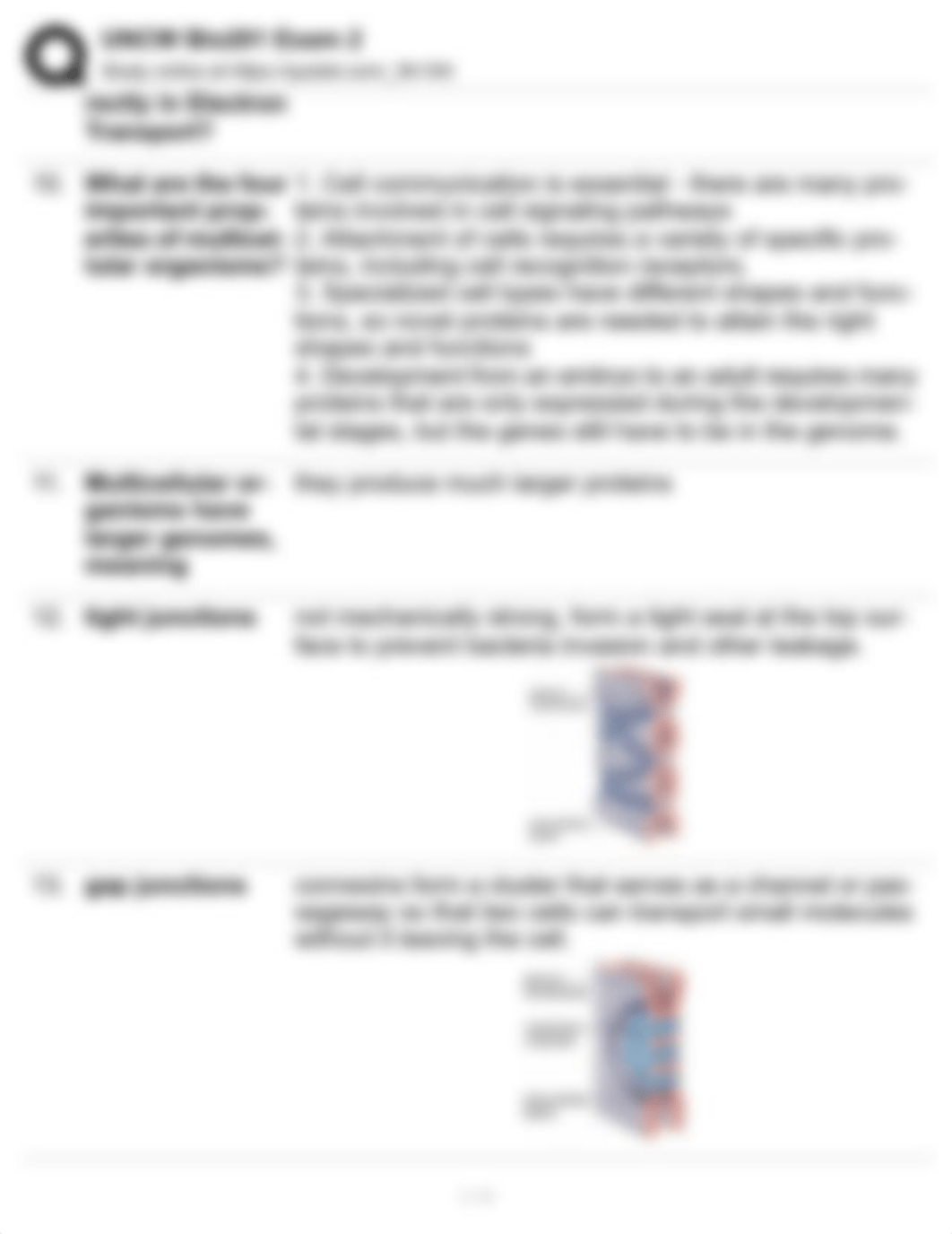 BIO 201 exam 3.pdf_dmztct0qo9q_page3