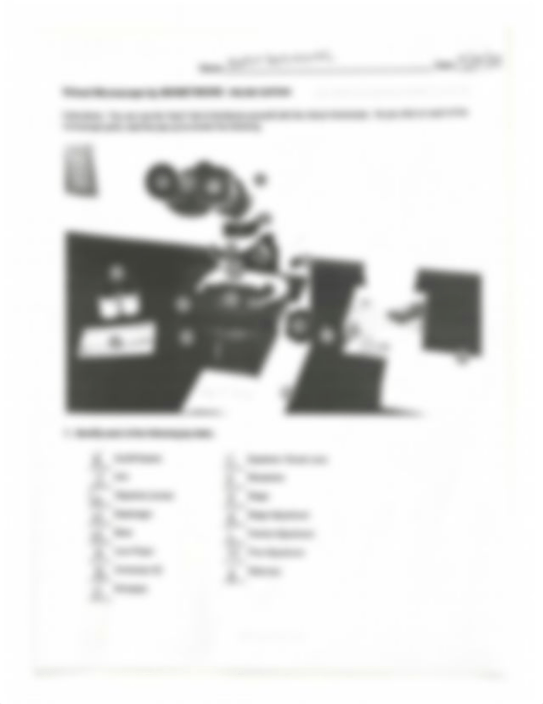 Virtual Microscope by BIONETWORK.pdf_dmzttac74ay_page3