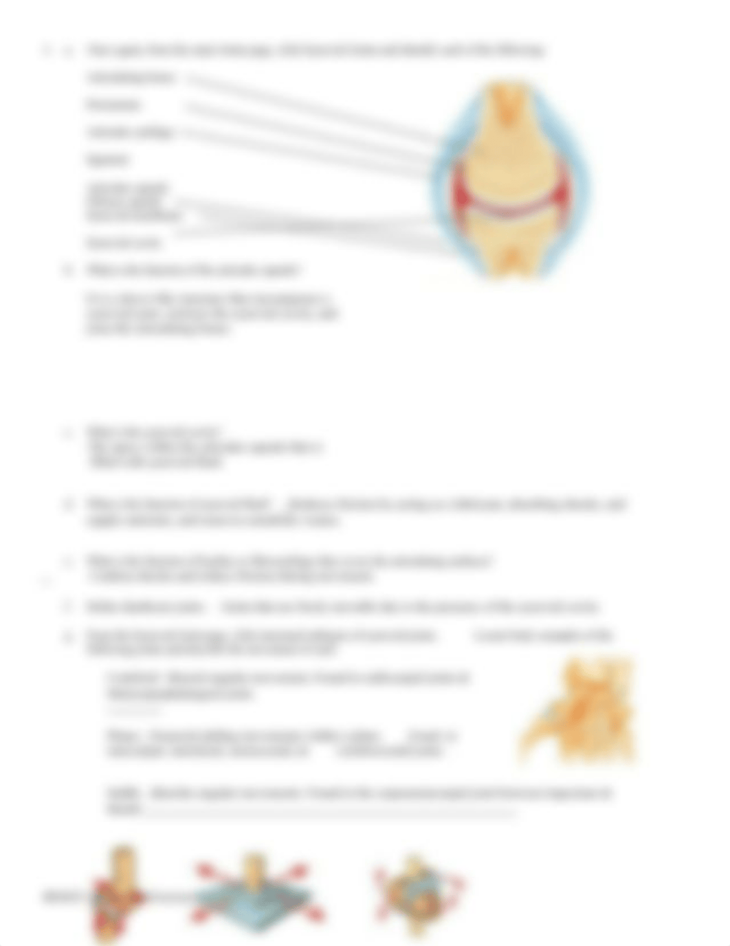 BIOS251_Week_7_Lab_Exercise_dmzxstyz584_page3