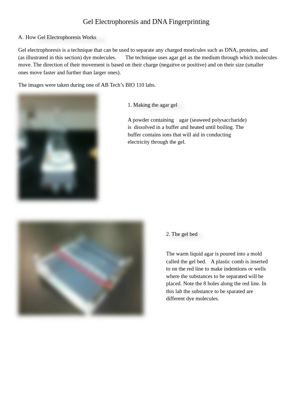 Gel_Electrophoresis.docx_dn01qxdpec8_page1