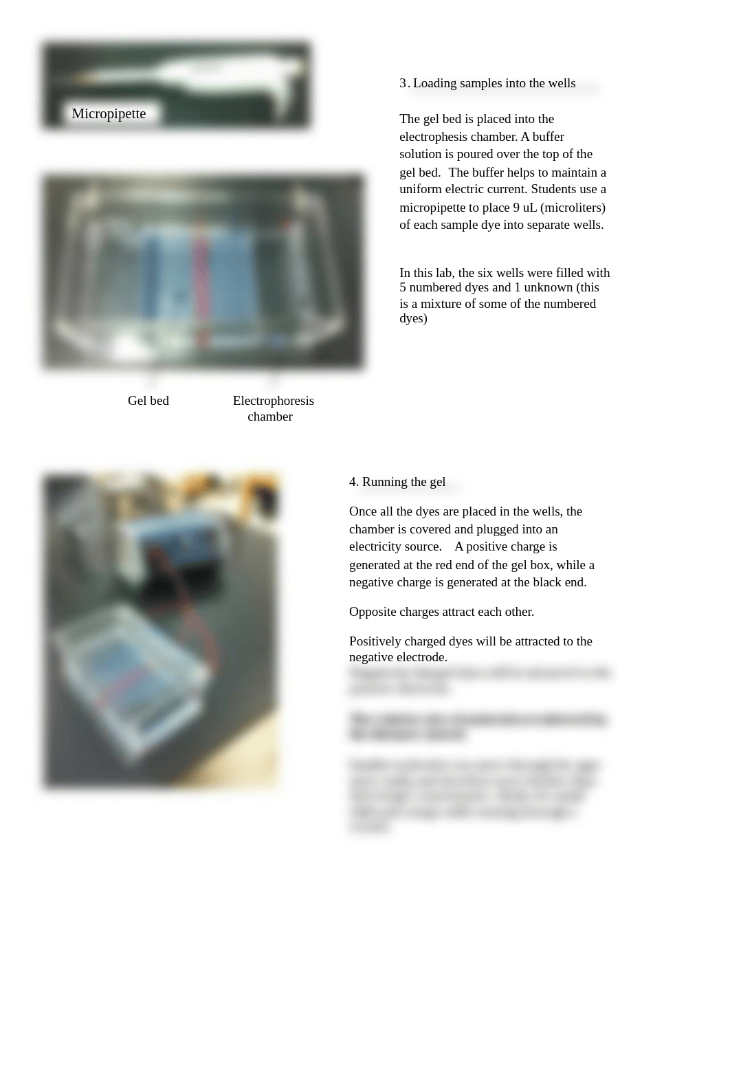 Gel_Electrophoresis.docx_dn01qxdpec8_page2