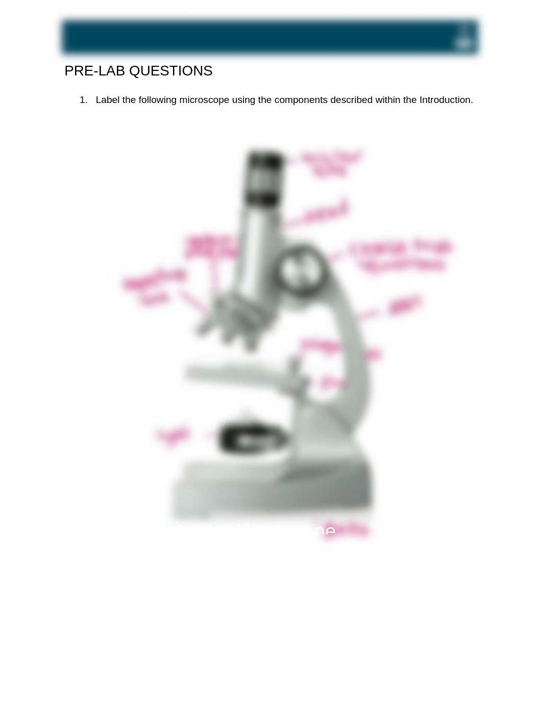 GB_1655_L01_IntroMicroscope.docx_dn02nzf39qc_page1