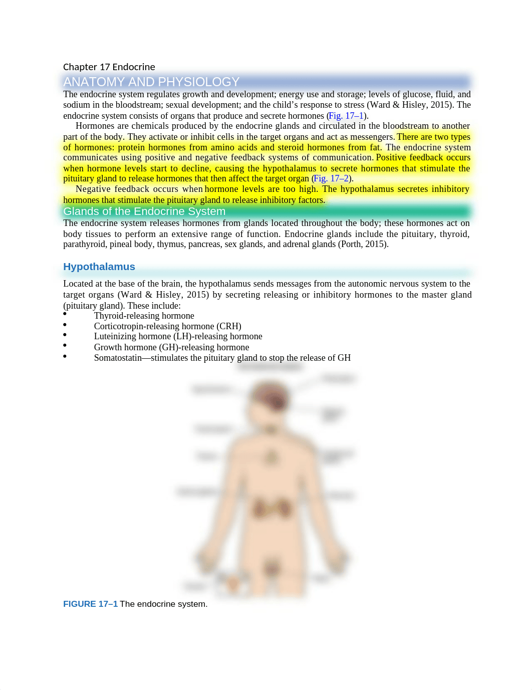 Chapter 17 Endocrine.docx_dn0ce6c9klm_page1