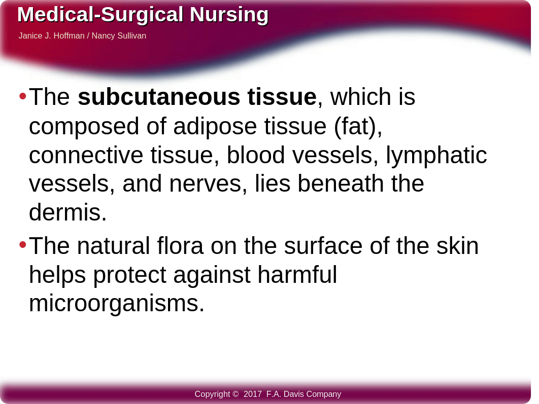 Med Surg Ch 50 Coordinating care for patients with skin disorders.pptx_dn0ik7nfcsf_page3