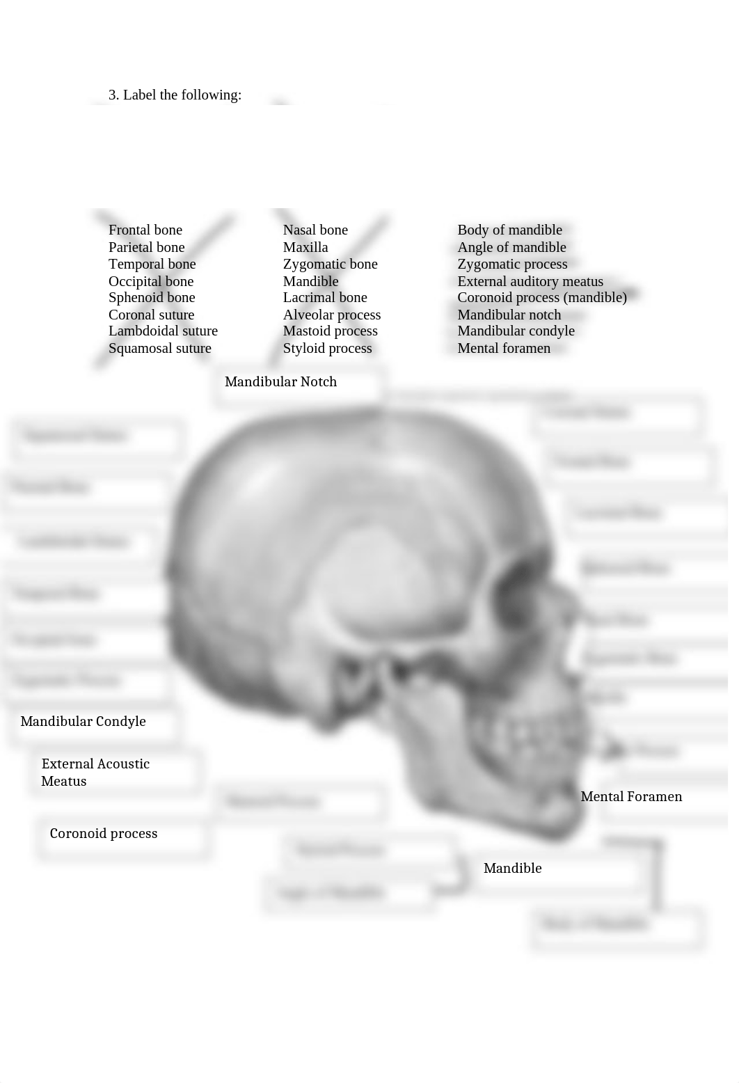 Lab 7 Lab Report.docx_dn0ooclo8fd_page3