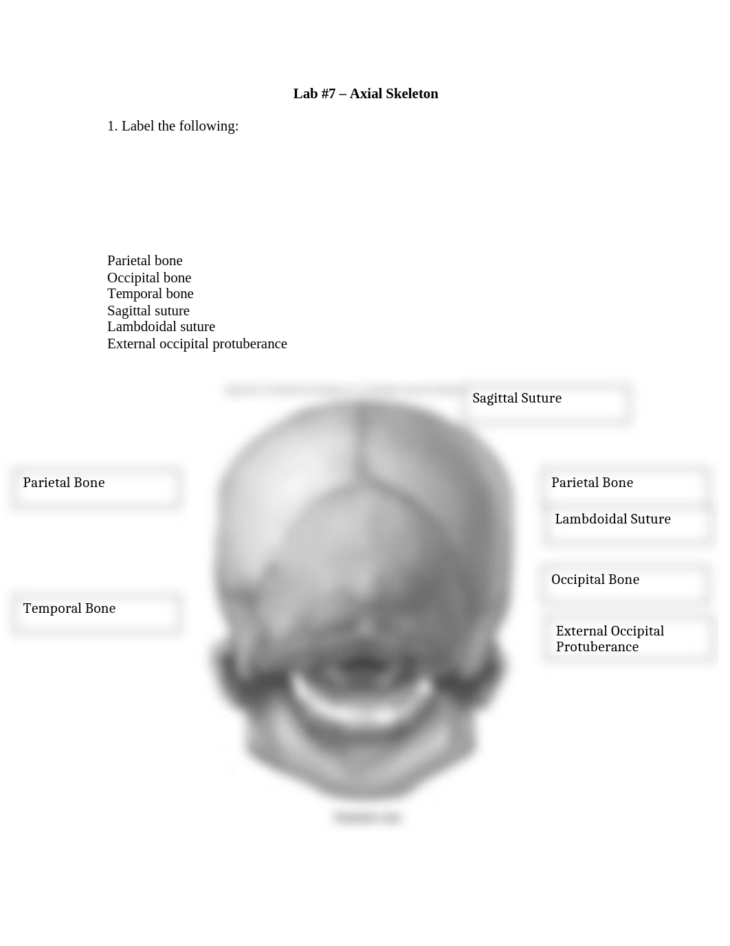 Lab 7 Lab Report.docx_dn0ooclo8fd_page1