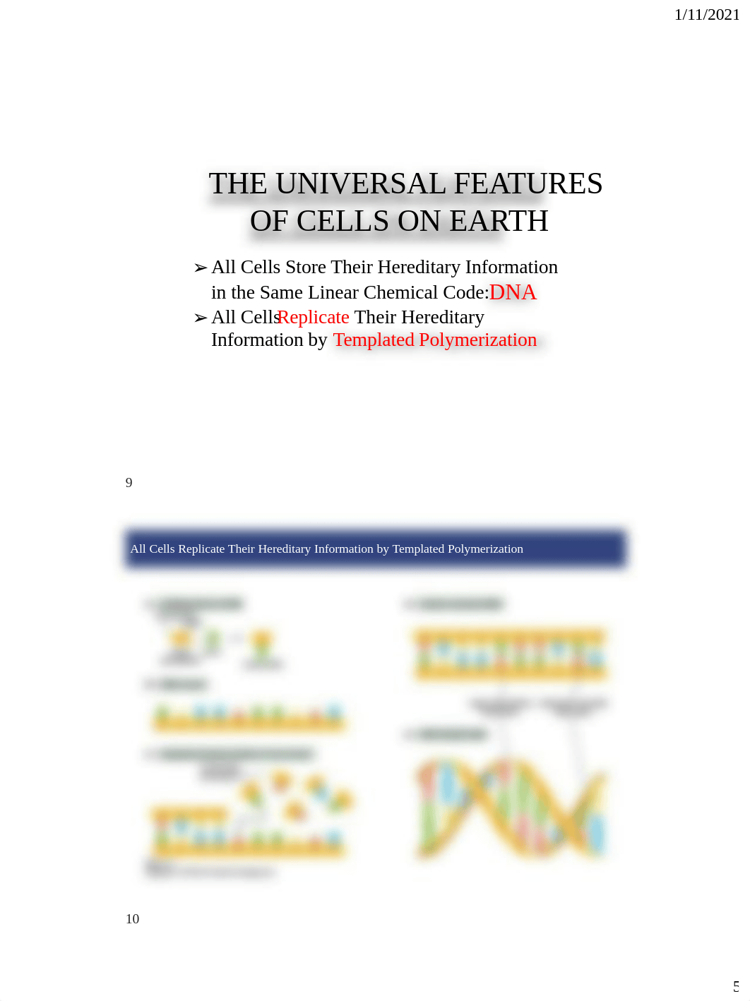 1 - Molecular cell biology introduction and DNA structure.pdf_dn0surc6lsp_page5