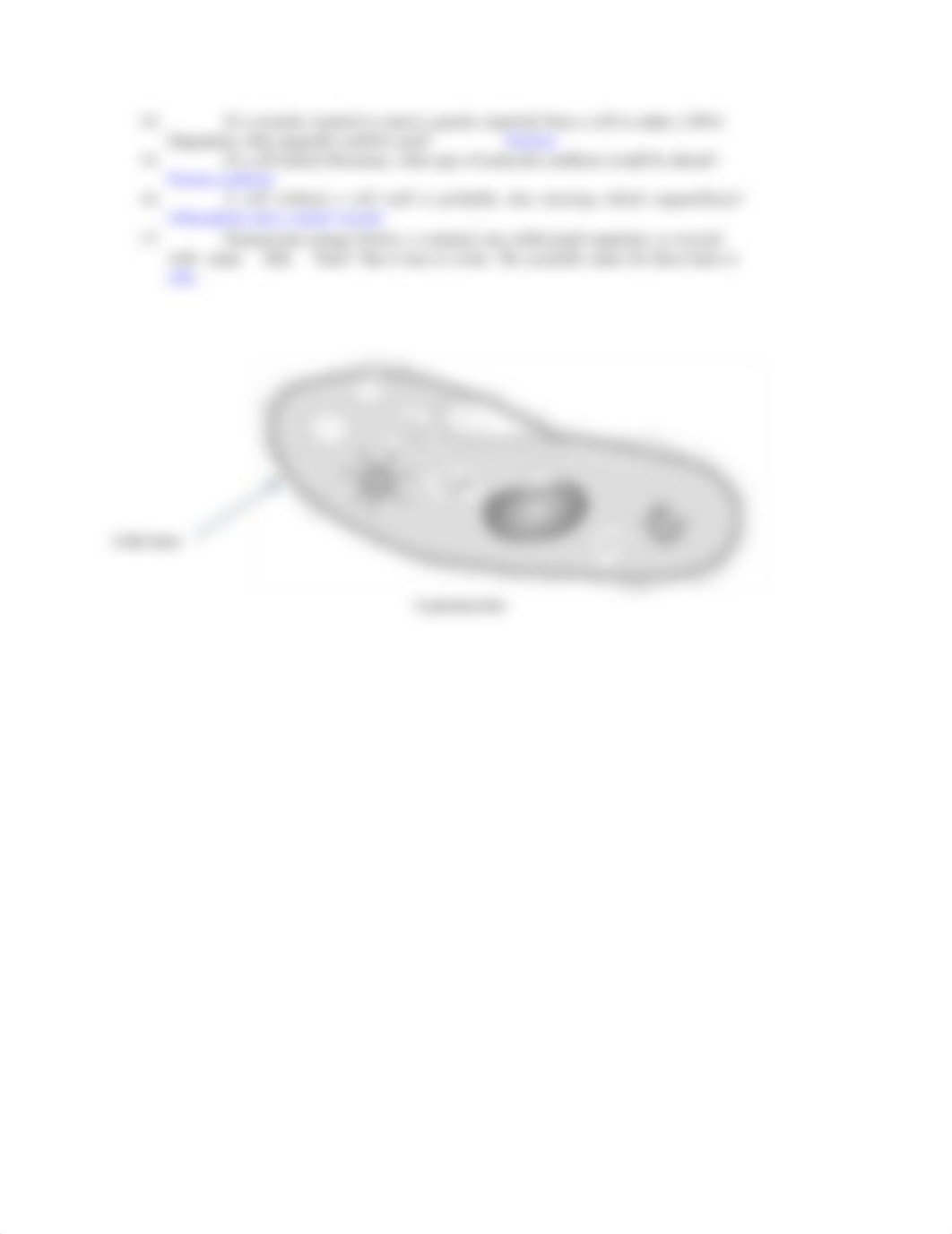 Exercise 4_Functions and Properties of Cells.docx_dn0tnqd08ee_page2