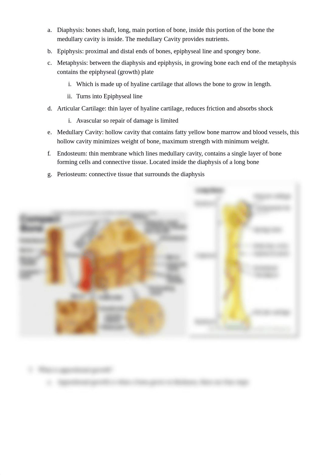 Anatomy Final Part 2.docx_dn0v0951c82_page2