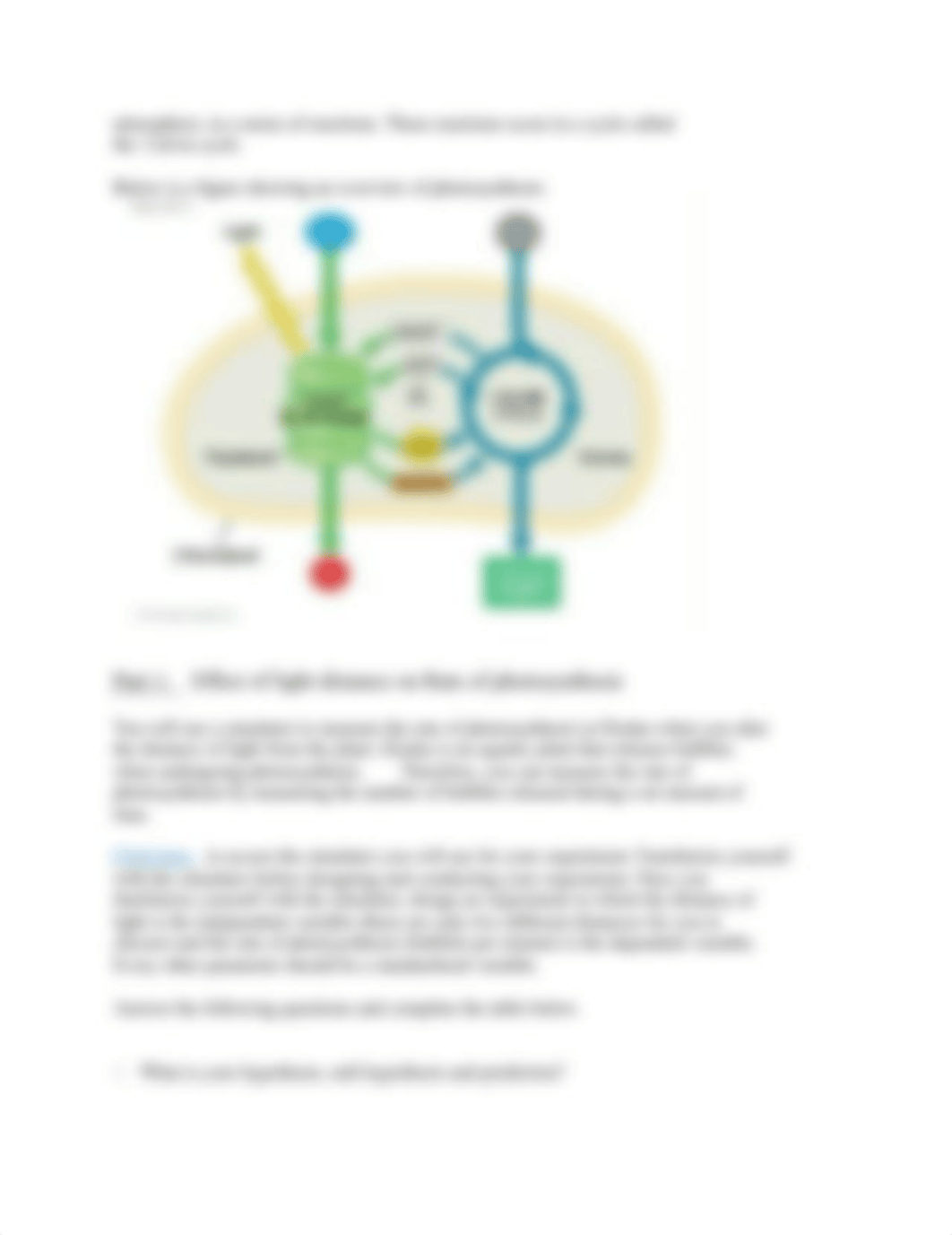 Lab Assignment #7 Photosynthesis (1).docx_dn10kd2a3my_page2