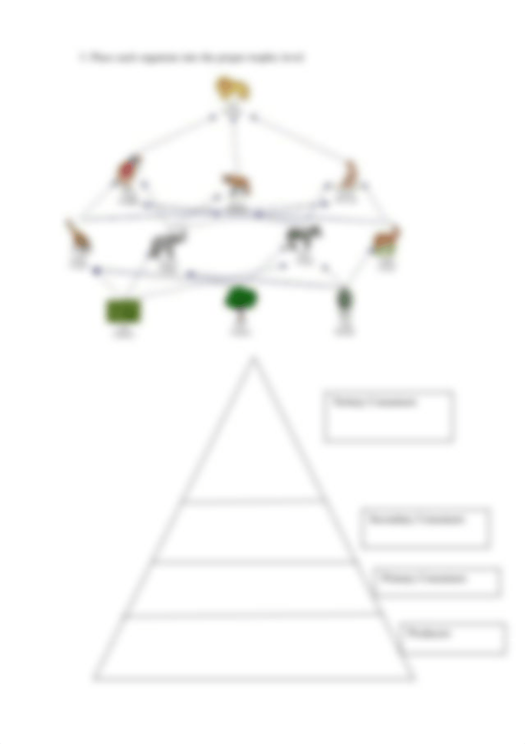 trophic_level_worksheet.pdf_dn10oja0vv8_page4