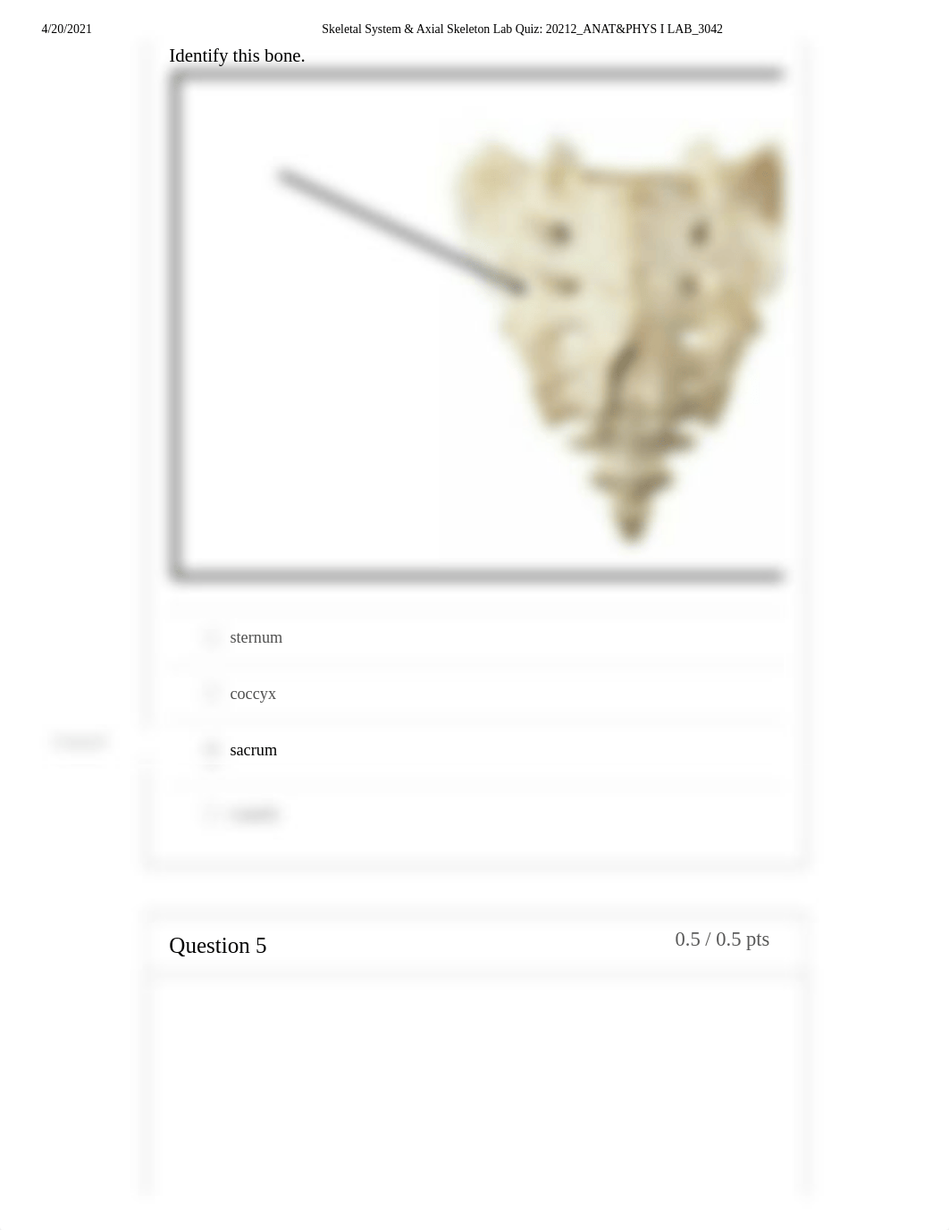 Skeletal System & Axial Skeleton Lab Quiz_ 20212_ANAT&PHYS I LAB_3042.pdf_dn12441xskj_page4